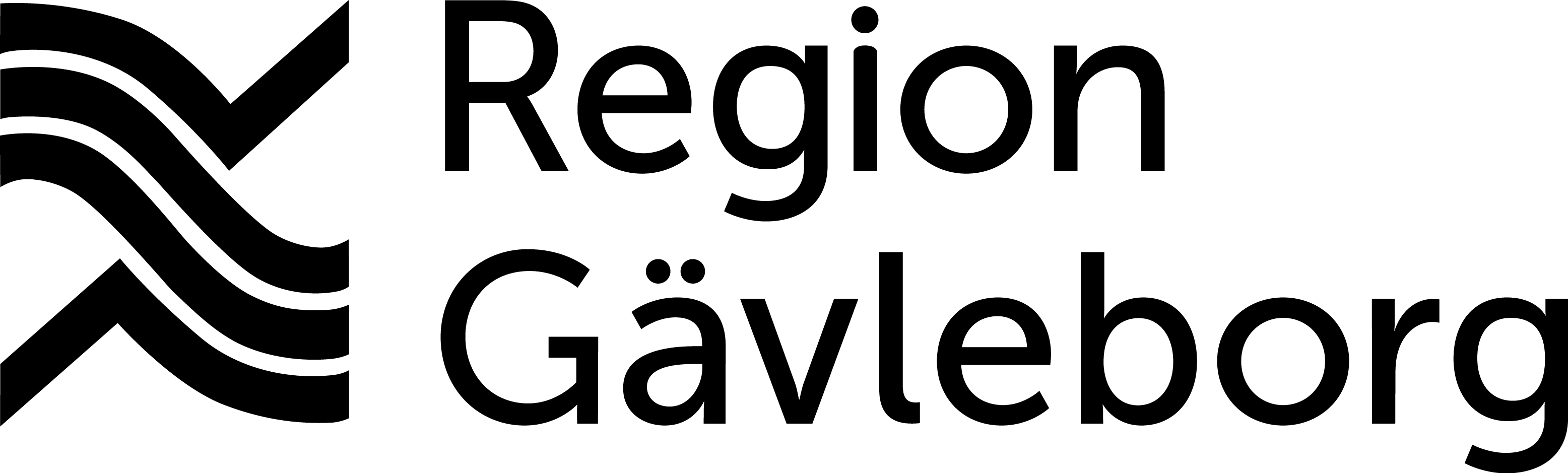 Sponsor: Region Gävleborg